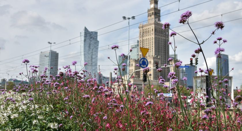 Podsumowanie 2019 roku w Zarządzie Zieleni m.st. Warszawy