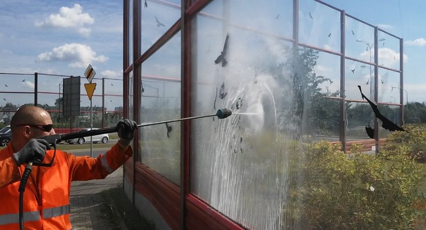 Podsumowania 2019: czystość w liczbach oraz przestrzeń 