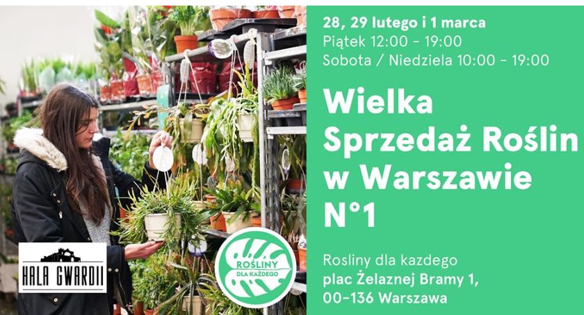 Przygoda w prawdziwej dżungli: Wielka Sprzedaż Roślin w Warszawie N°1