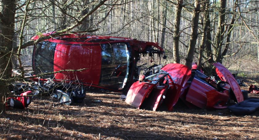 Leśna dziupla, a w niej rozebrana Mazda