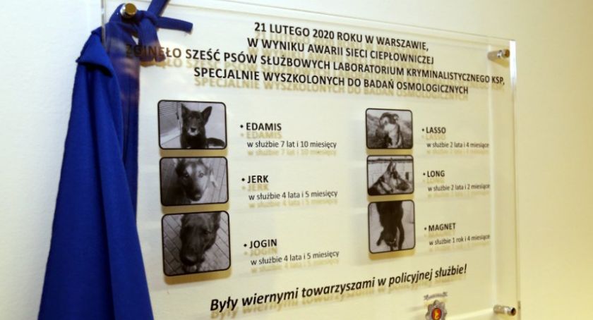 Policja uhonorowała swoich wiernych towarzyszy