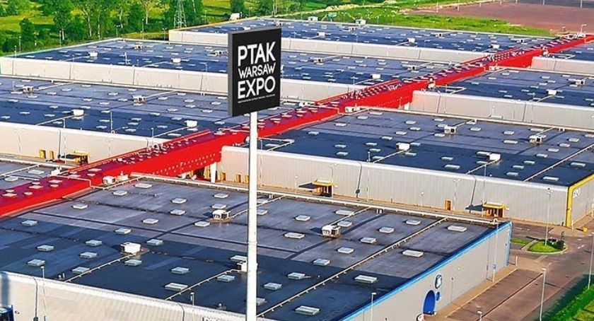 Hale Ptak Expo mogą być szpitalem polowym