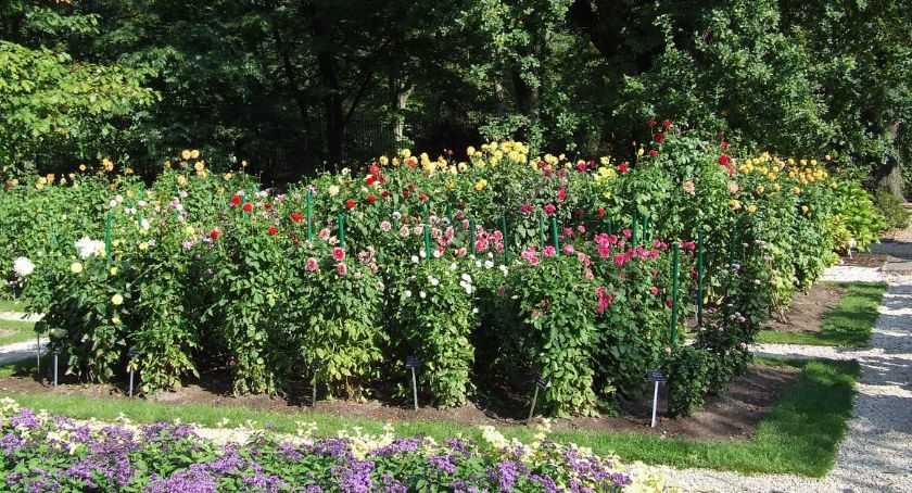 Otwarcie Ogrodu Botanicznego UW!