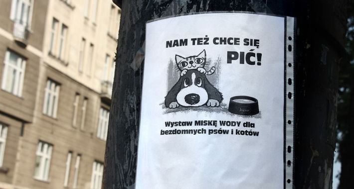 W upały zadbaj także o zwierzęta