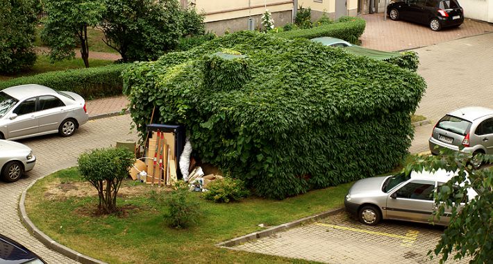 Wymień zdjęcie na kawę! Konkurs fotograficzny „Widok z Mojego Okna”