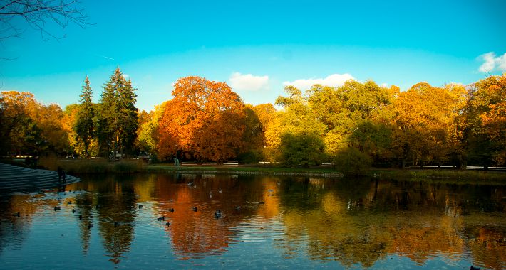 Park Ujazdowski jesienną porą [FOTO]