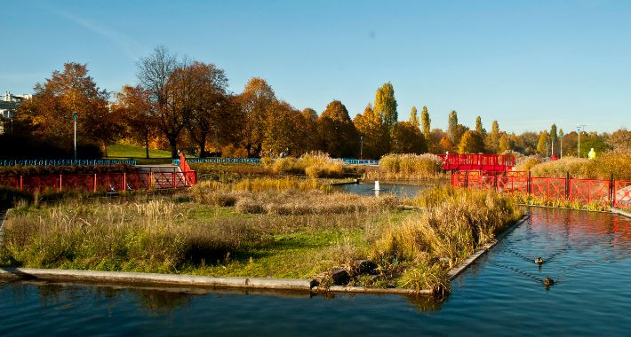 Park Szymańskiego na Woli jesienną porą [FOTO]