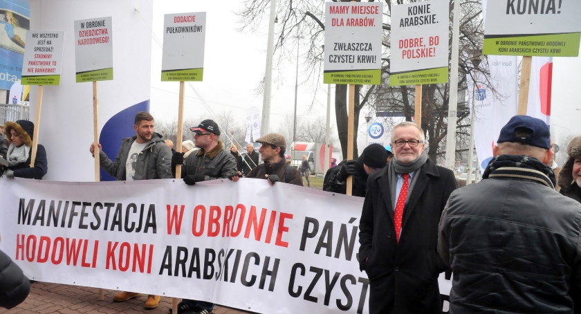 W obronie państwowych stadnin koni arabskich. Manifestacja w Warszawie [ZDJĘCIA]