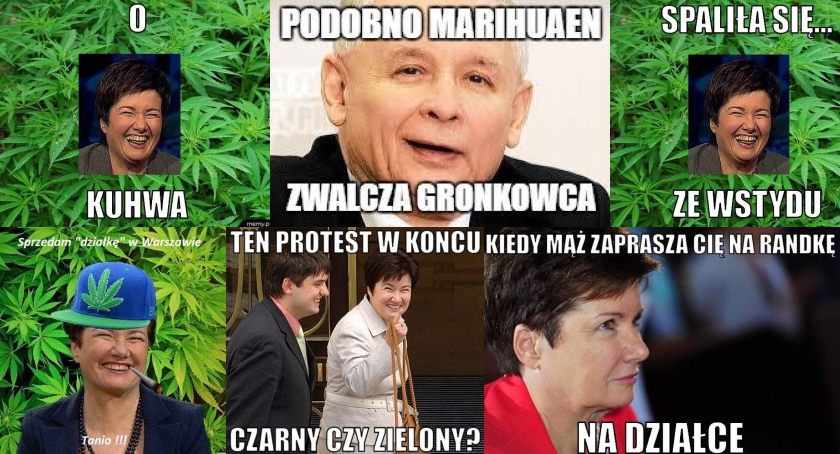 Wysyp memów po znalezieniu plantacji marihuany na działce męża Hanny Gronkiewicz-Waltz