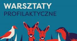Warsztaty profilaktyczne #nadWisłą - Jak rozpoznać uzależnienie