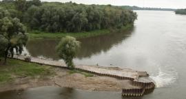 Śnięte ryby w Wiśle. MPWiK przekazał wyniki badań