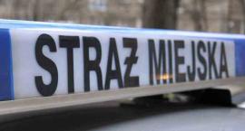 Zapomniał, co robił na mieście - ul. Karmelicka
