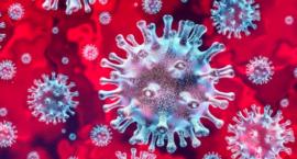 Prawie co piąty Polak uważa, że nie ma żadnej epidemii koronawirusa