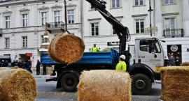 Zarząd Oczyszczania Miasta podsumował 2020 rok [ZDJĘCIA]