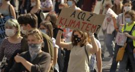 Młodzieżowy Strajk Klimatyczny: Kryzys klimatyczny jako kryzys wyobraźni