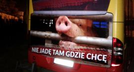 Stowarzyszenie Otwarte Klatki: tak wygląda transport zwierząt [ZDJĘCIA]