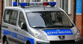 Straż Miejska: ruszyła akcja Znicz i akcja Hiena 