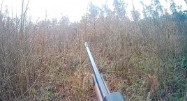 Jeleń wziął na rogi myśliwego z Warszawy [DRASTYCZNE NAGRANIE]