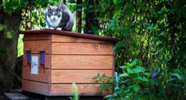 Pływająca sauna była ciekawym pomysłem? Zgłoście swój projekt w budżecie