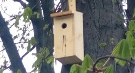 MPO montuje budki lęgowe dla nietoperzy i ptaków