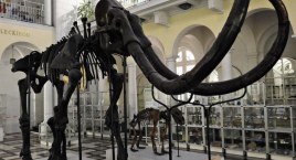W Noc Muzeów 2022 historia zmiesza się z teraźniejszością
