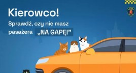 Kocięta przejechały z Nieporętu do Warszawy w silniku