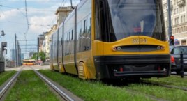 Będzie znacznie więcej zielonych torów w Warszawie