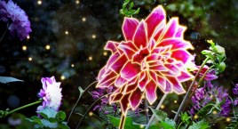 Ten Botaniczny jest strasznie Magiczny! 
