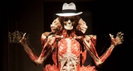 Body Worlds Vital: spójrzmy na swoje ciała w nowy sposób 