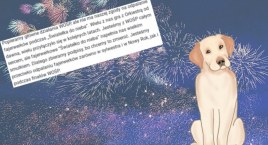 Podaruj Ciszę: oby Światełko do Nieba w tym roku było CICHE [PETYCJA]