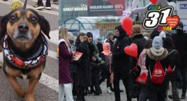 Warszawa zmieniła się w Miasto WOŚP! Wolontariusze dali z siebie wszystko [ZDJĘCIA]