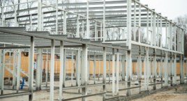 Schronisko Na Paluchu: powstaje dom dla starszych psów