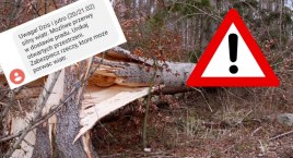 Wiatr znowu zaatakuje. Może być naprawdę niebezpiecznie