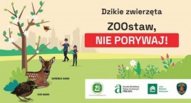 ZOOstaw, NIE porywaj! 