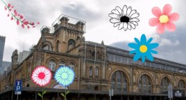 Festiwal Roślin i wyprzedaż barwnych kwiatów