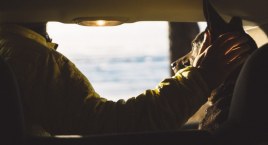 Pies został w rozgrzanym aucie, szyby były szczelnie zamknięte