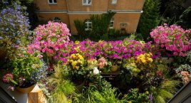 40. konkurs Warszawa w kwiatach. Jakie są najpiękniejsze ogrody i balkony?