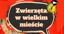 Piknik Zwierzęta w Wielkim Mieście i przygotowane atrakcje [PLAN]