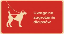 UWAŻAJCIE na swoje psy! Pojawiła się groźna bakteria