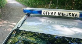 Jak gdyby nigdy nic, nagi chodził sobie po parku