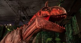 ROAARRR! Wystawa Jurassic Adventure już otwarta! [ZDJĘCIA]