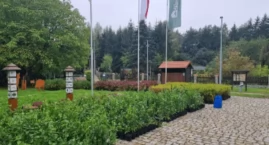 Podsumowanie akcji Łączy nas czysty las