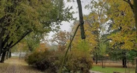 Wielki konar wisiał nad chodnikiem. Był jak pułapka