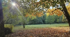 Za taką atmosferą jesieni tęskniliśmy [ZDJĘCIA]
