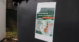 MPO zorganizowało zbiórkę dla podopiecznych Schroniska Na Paluchu