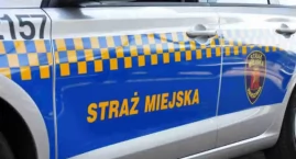 Cwaniak sądził, że jest nietykalny