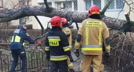 Straż Pożarna i Straż Miejska razem usuwali skutki wichury [ZDJĘCIA]