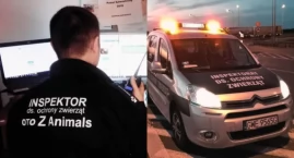 Sylwestrowy patrol jeździ po Warszawie. OTOZ Animals pomaga przerażonym zwierzakom