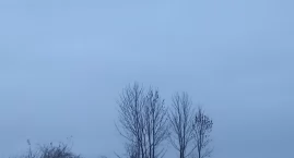Nowy Rok zacznie się szarością