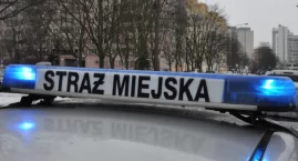 Ledwo przytomny 14-latek leżał na trawie